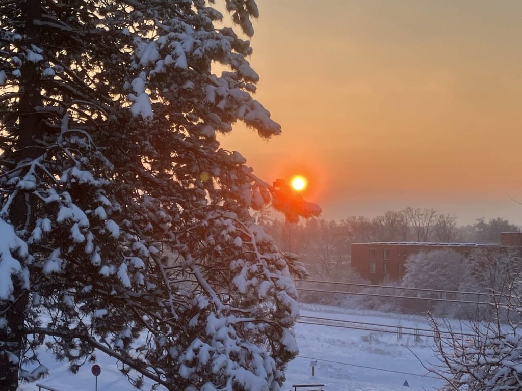 XMAS_NEWS_Weihnachtsgruss Graef Immobilien